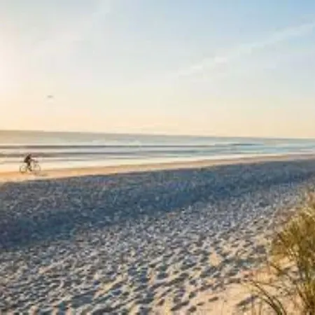 Gorgeous Flat 200 Metres From The Sea Apartment